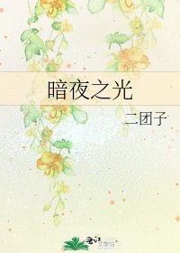 暗夜之光