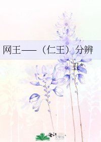 网王——(仁王)分辨