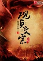 貞觀文宗系統