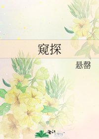 窥探